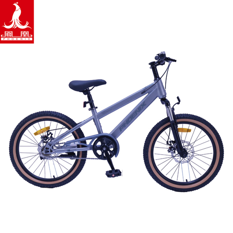 凤凰(PHOENIX) 20寸 山地自行车-贝塔puls(辐条轮)摩登灰