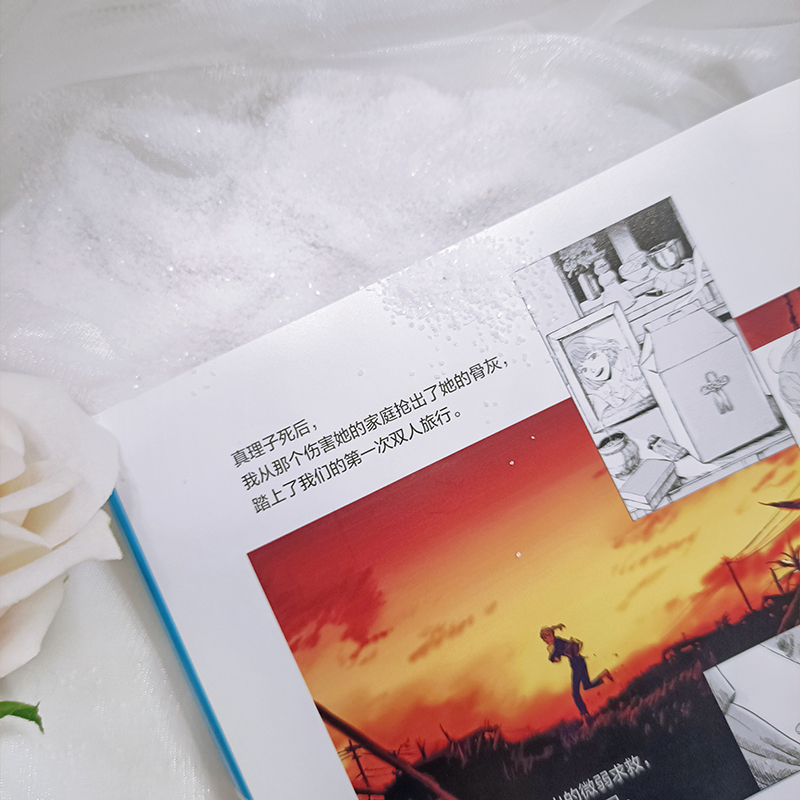 我破碎的真理子 [正版]首刷赠光栅卡+明信片+拍立得+飞机盒包装我破碎的真理子 简体中文版 平库和歌著 我破碎的麻理子高清大图