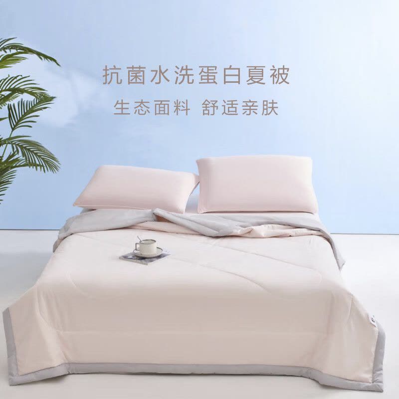 罗曼罗兰(ROMROL)春夏新款夏被 抗菌水洗蛋白夏被 樱语 150*200CM图片