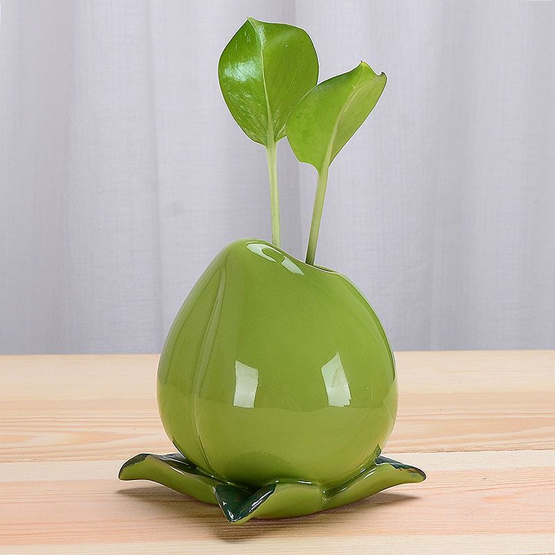 封后 Fenghou 花瓶 花艺封后绿萝水培花瓶时钟菠萝迷你花盆水养植物创意花器桌面摆件陶瓷花盆青桃子水培花瓶 不含植物小石子 价格图片品牌报价 苏宁易购梦舟家居生活专营店