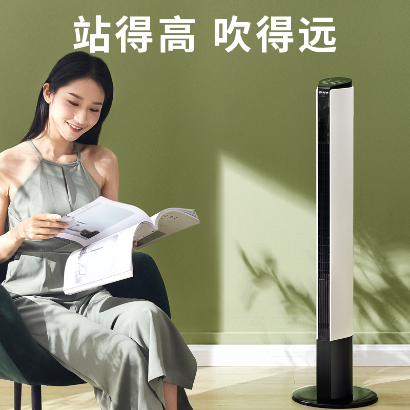 先锋(SINGFUN)塔扇电风扇落地扇家用智能遥控15h定时无叶风扇 DTS-G11Pro