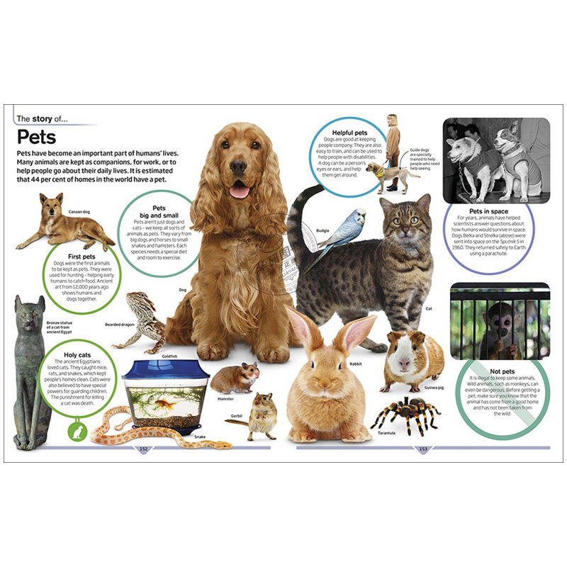 dk儿童百科全书 [正版新书]dk儿童百科全书 英文原版 dk childrens