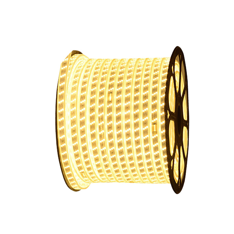 亮思能 LED户外防水灯带 低压灯带 LSN-XOL 米高清大图