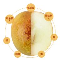 【4斤装】【AAA级大果】【个别发青的可放置几天再食用】【放置期间可喷水保鲜】【泡沫箱保鲜】新鲜冬枣大枣孕妇水果