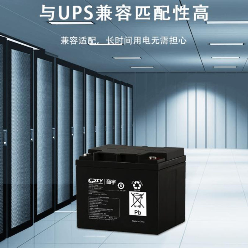 商宇 ups不间断电源GW1238AH 应急蓄电稳压停电备用电池12V38AH