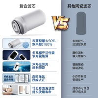 路易伯爵)净水器自营家用 水龙头过滤器 自来水净水机厨房净化器滤水器 LYLT-002