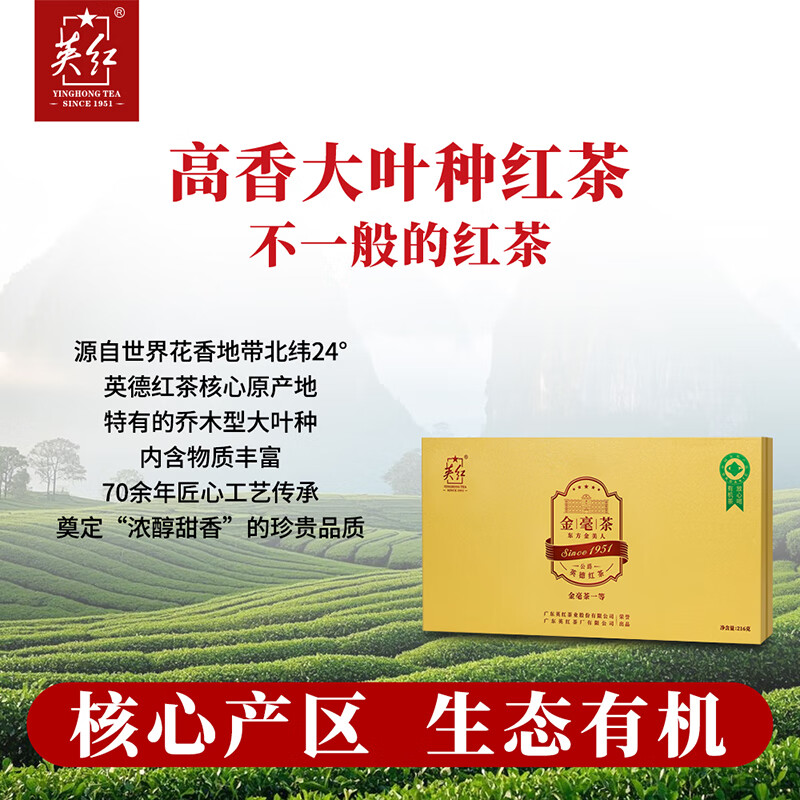 英红牌红茶英红九号明前春茶2025新茶特级有机茶金毛毫216g高清大图