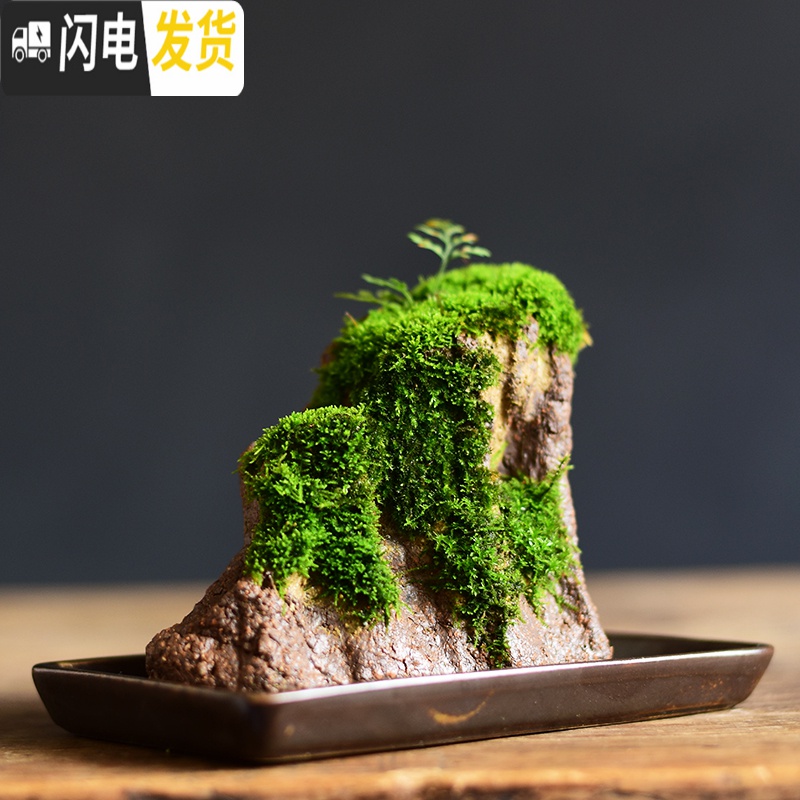 三维工匠苔藓盆栽假山吸水石盆景水培青苔造景办公室桌面净化空气花盆摆件 [肆-假山苔藓盆栽] 小花盆容器高清大图