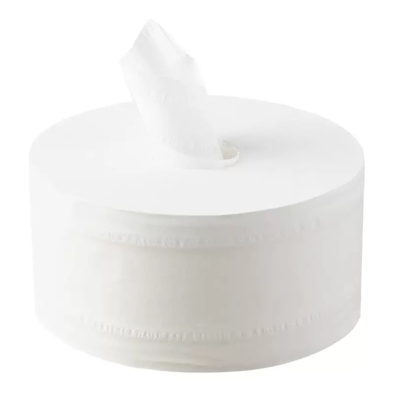 岱润 大盘纸 12盘/箱 箱 一次性纸高清大图