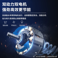 预售澳柯玛(AUCMA)15公斤大容量双缸洗衣机双缸半自动家用商用宾馆宿舍洗衣房用大件洗涤 XPB150-2768S