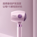 博锐(POREE)吹风机PH1638