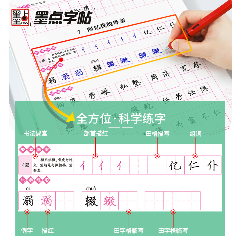 语文 八年级下 [正版]八年级字帖上册语文同步练字帖初中生练字中文字帖字帖2023年人教版荆霄鹏字帖中学生练字专项训练暑高清大图