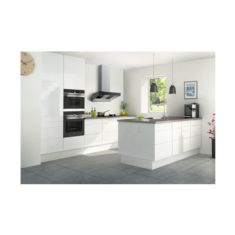 西门子LC57PA951W欧式变频速吸油烟机蒸饭柜高清大图