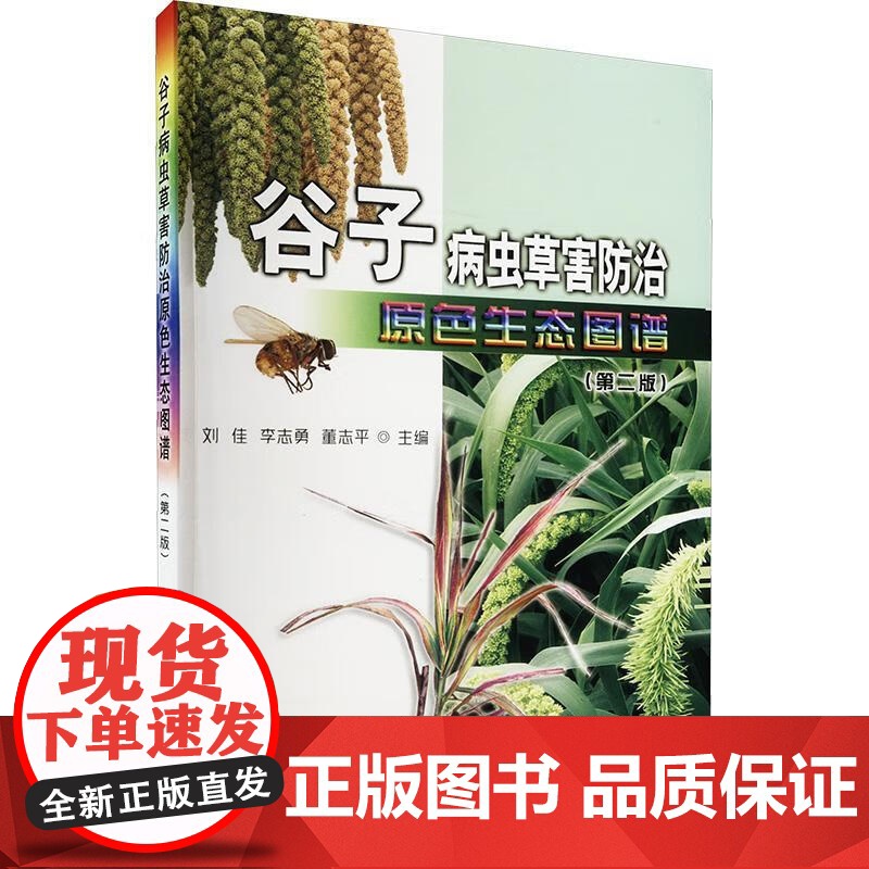 谷子病虫草害原色生态图谱 刘佳等主编 中国农业出版社 9787109318366高清大图