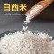 白西米100g*1袋 泰国西米100g/250g起奶茶店专用材料甜品烘焙原料商用西米露
