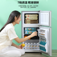 志高(CHIGO) BCD-128D 128升双门小冰箱 迷你两门小冰箱 家用冷藏冷冻小型电冰箱(星光银)
