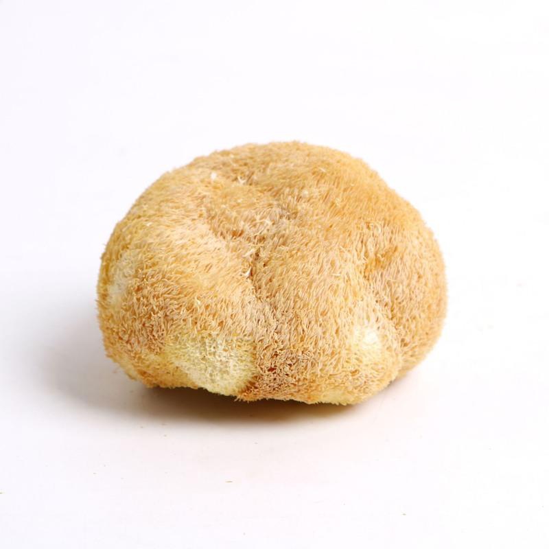香菇猴头菇
