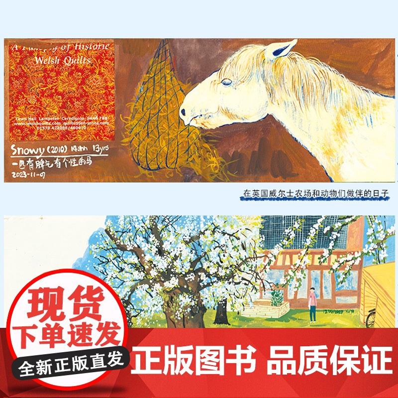 生活-一个人的小世界小世界须臾意大利巴黎孙艺萌苏小次剑桥艺术绘画30岁是一个全新的开始横版跨页大插图插画师美术绘画高清大图