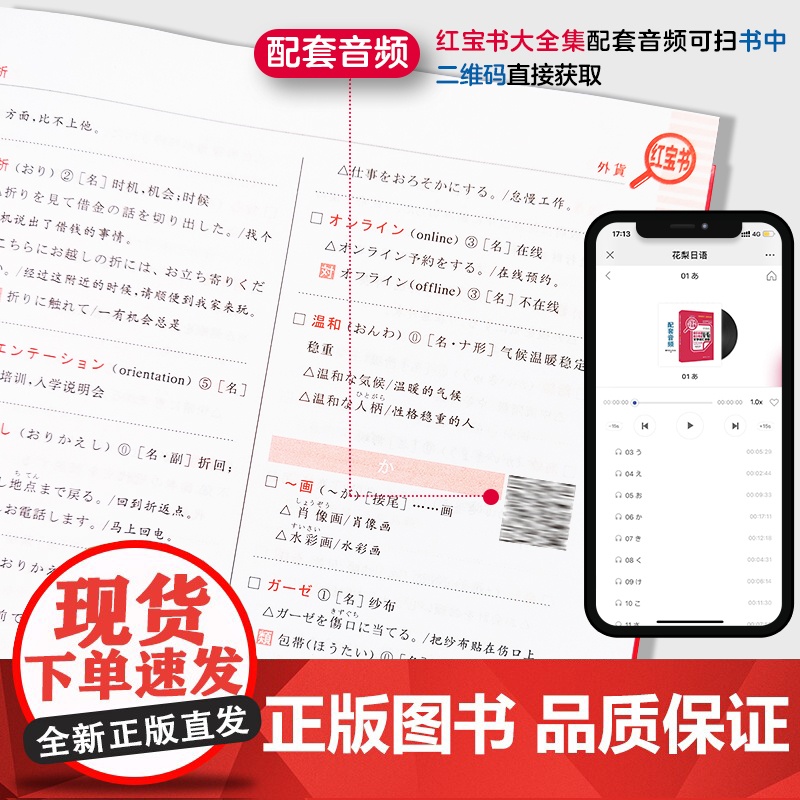 日语能力考试N1-N5文法+文字词汇详解 红蓝宝书大全集 白金版 日语入门N2N3N4一级二级语法单词华东理工 正版高清大图