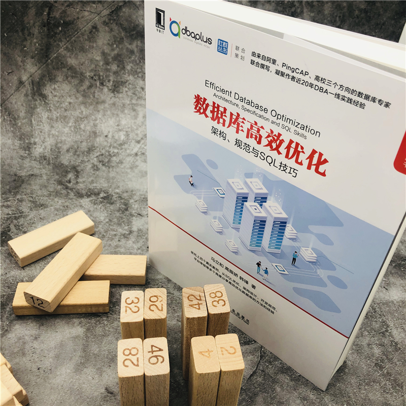 音像数据库高效优化(架构规范与SL技巧)/数据库技术丛书马立和