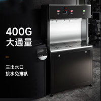 XL-3W265（2开1直饮） 商用净水器大型直饮水机公司工厂五级过滤带过滤开水器商用直饮机