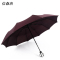 信森洛 全自动晴雨伞 10骨 /把