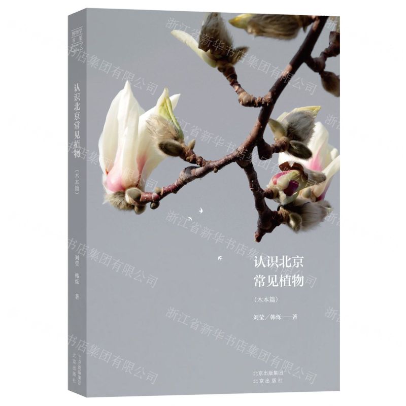 [N]认识北京常见植物(木本篇)-9787200135473高清大图