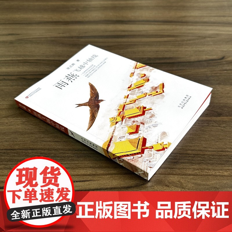 《雨燕飞越中轴线》(2023年百班千人暑期书单 四年级阅读)高清大图