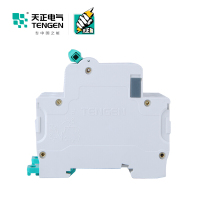 天正电气 空气开关 TGB1N-63 3P C 10A 6KA 01060270124 微型断路器