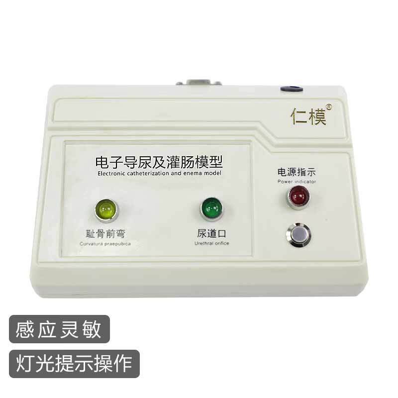 医学教学模型