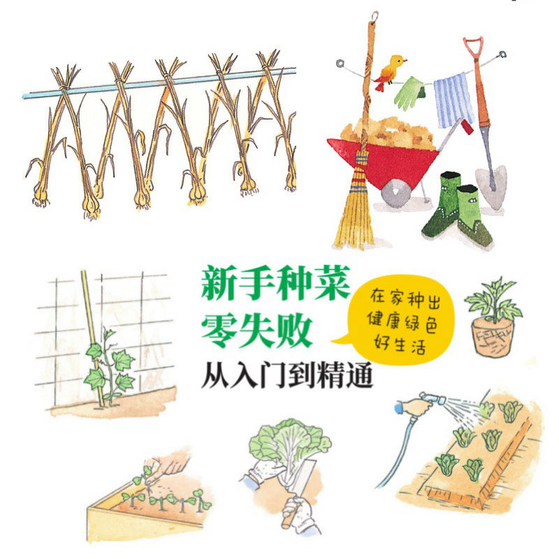 醉染图书新手种菜零失败 从入门到精通9787111448020高清大图