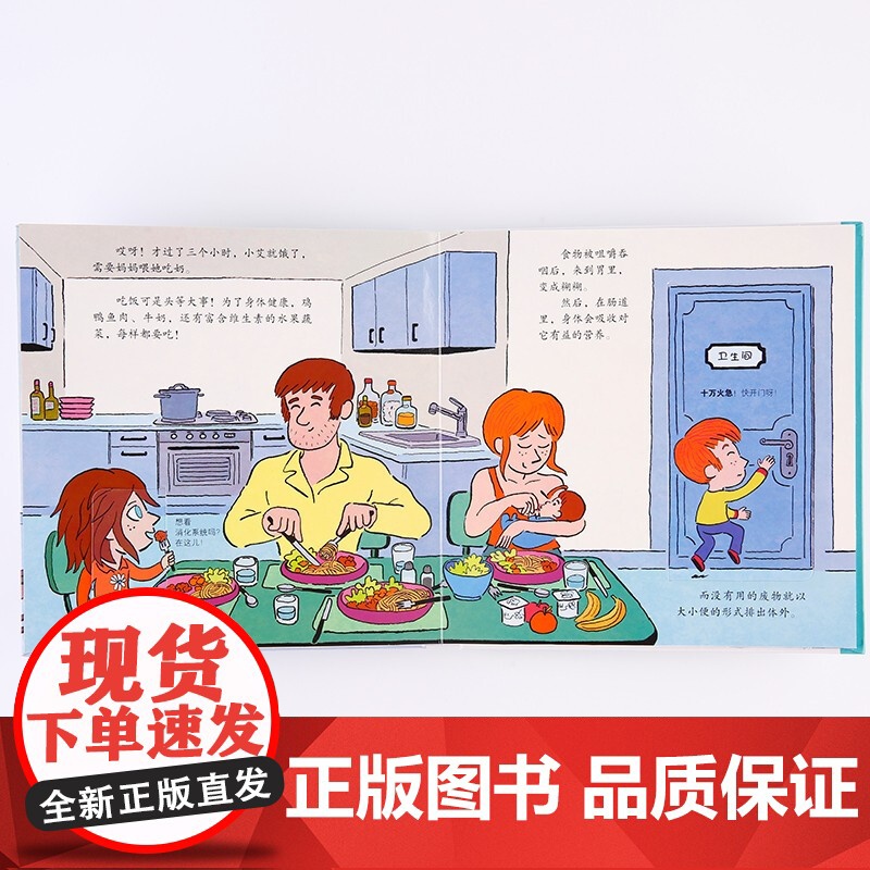 发现身体的秘密 3-6岁 斯特凡妮·勒迪等 著 玩具书高清大图