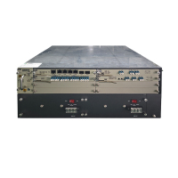 瑞利通OLP光保护设备XRLT-5000A(台)