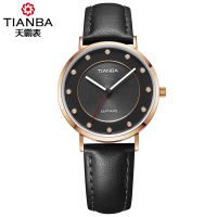 天霸(TIANBA)光彩系列光能太阳能进口机芯时尚商务休闲腕表国产品牌女士皮带简约光能表TL9006.01PK黑色