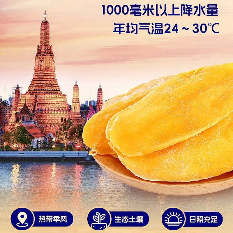 臻味 泰国芒果干 100g 袋图片