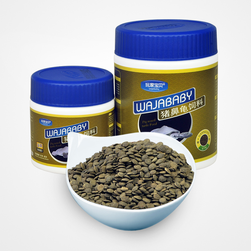 底栖异型饲料 猪鼻龟三间鼠鱼肉食慈鲷沉底缸底鱼六角高清大图