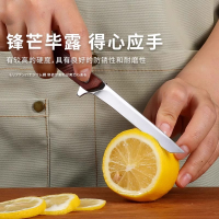不锈钢小刀随身家用折叠水果刀便携宿舍学生削皮刀具安全N8169