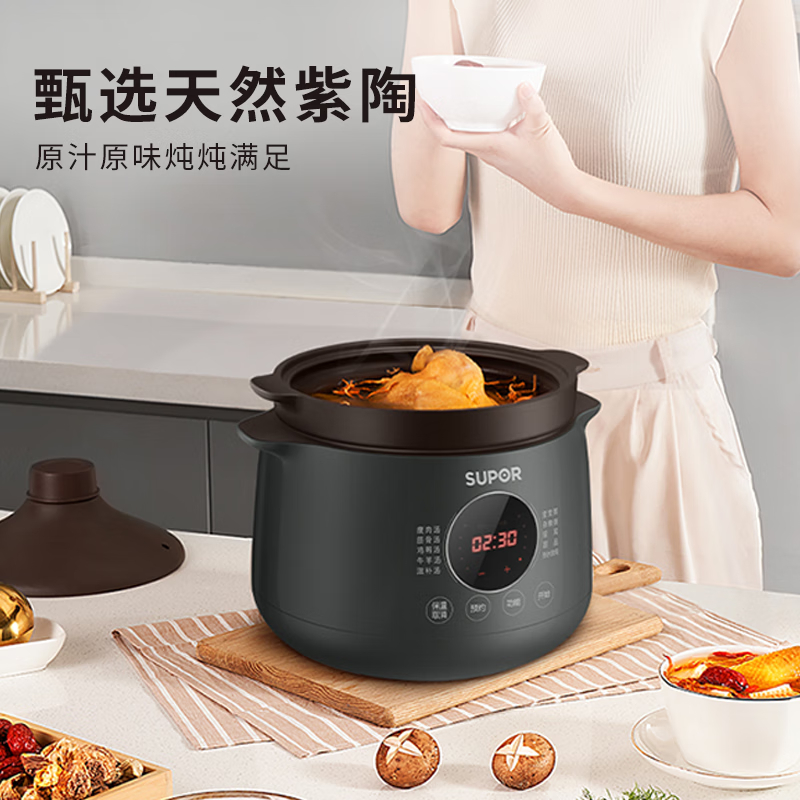 苏泊尔(SUPOR)多功能电炖锅 4L多功能电炖盅可预约炖汤锅 DG40YC36高清大图