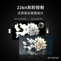 索尼(SONY)新品 75英寸7系 MiniLED电视 AI画质音质优化 XR认知芯片 旗舰液晶 K-75XR70