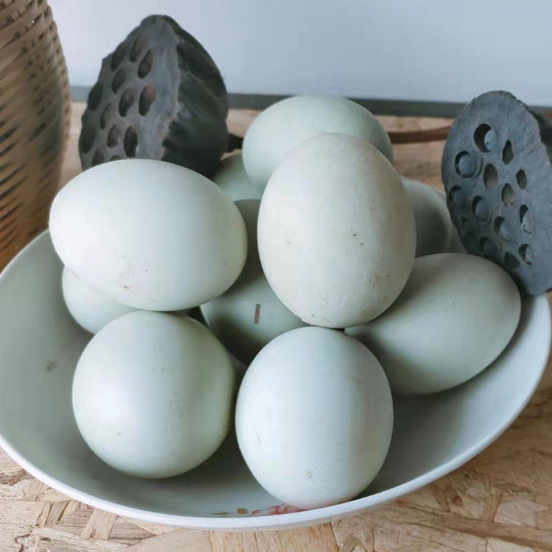 新鲜生鸭蛋正宗微山湖新鲜生鸭蛋农家生态放散养青皮绿壳鸭蛋 现捡[65