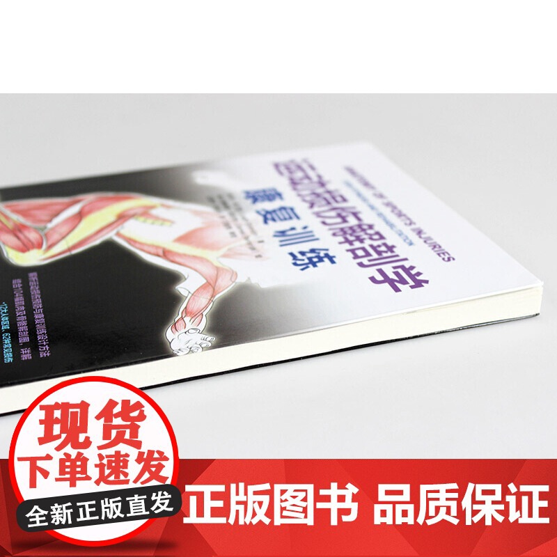 运动损伤解剖学 康复训练 [英]利·布兰登(Leigh Brandon) 解析运动损伤预防与康复训练设计方法 结合104高清大图