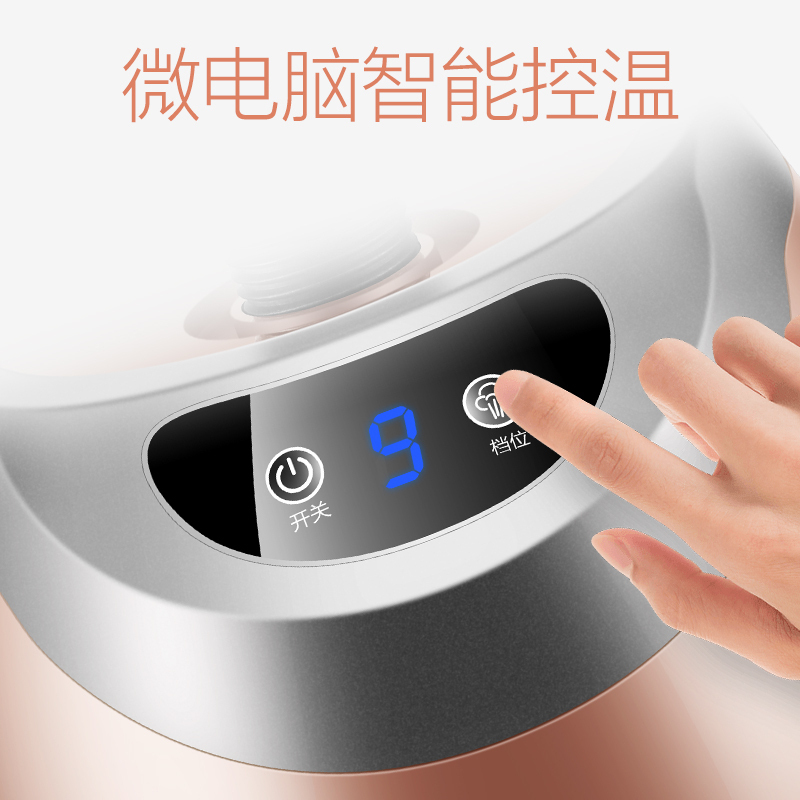 奔腾挂烫机pe1201