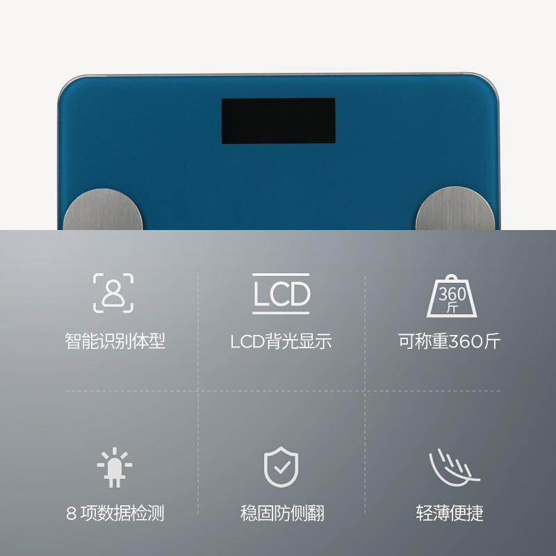 西屋 体重秤 T101 蓝色高清大图