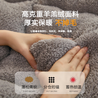 卡洛儿杜香羊羔绒床垫软垫学生宿舍单人榻榻米海绵垫子褥子冬季加厚保暖垫被