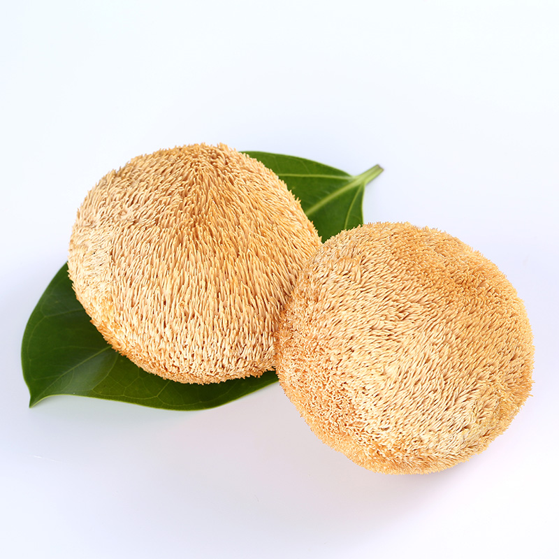 盛耳 猴头菇150g新鲜猴菇干货猴头猴头菌新货猴菇头非猴头菇粉高清大图