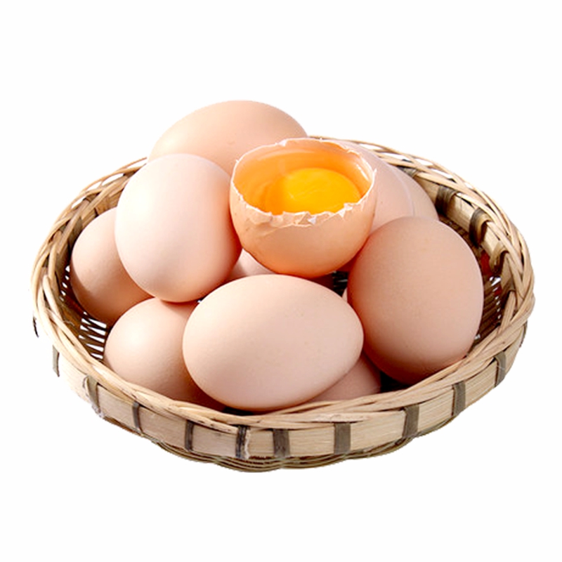 燕域田园土鸡蛋正宗农村自养粉壳蛋40g×30个草鸡蛋柴鸡蛋笨鸡蛋
