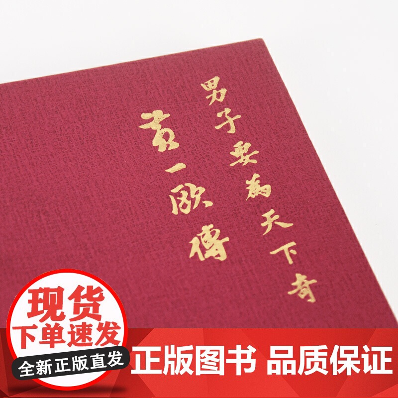 男子要为天下奇:黄一欧传高清大图