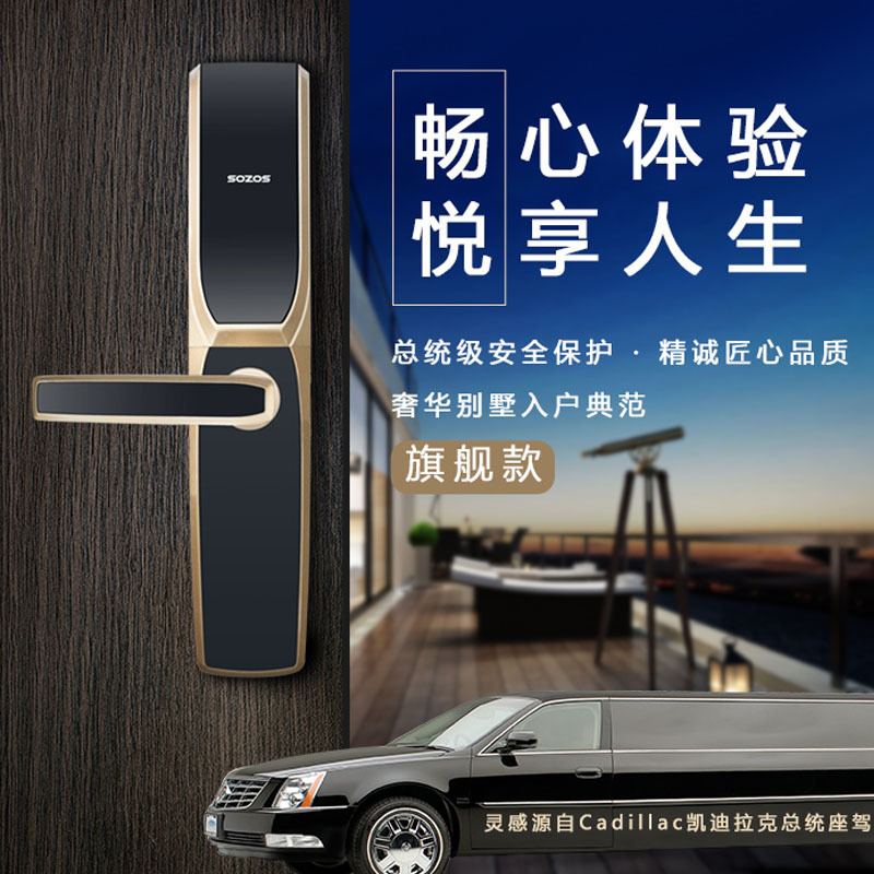 索众SZ-S102 指纹锁智能锁智能门锁智能家居家用防盗门密码磁卡锁