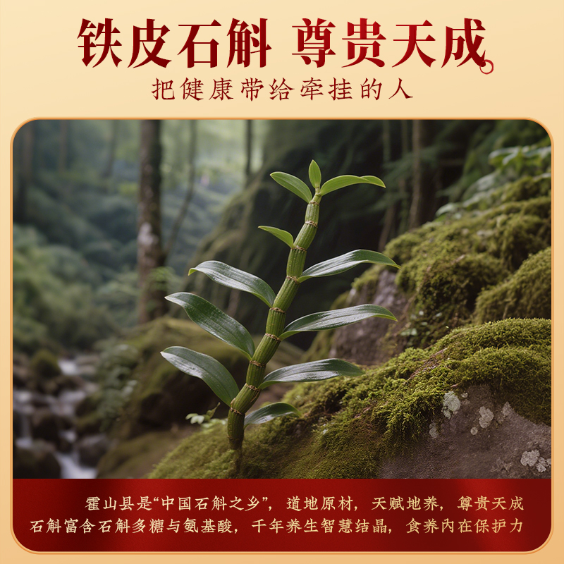 九阳豆浆铁皮石斛八珍食养豆浆粉礼盒送父母长辈 (双开窗)铁皮石斛八珍食养豆浆粉礼盒(480g*2罐)高清大图