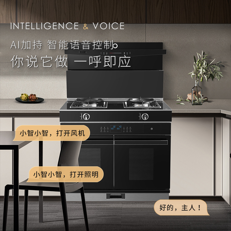 志高(CHIGO)JJZT-V9-4语音体感左烤右蒸集成灶天然气+900MM超声波清洗集成水槽洗碗机集成厨电套装